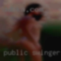 Public swingers